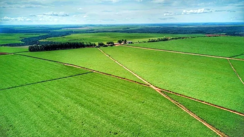 Grupo agrícola vende fazenda em Goiás por 3 milhões sacas de soja