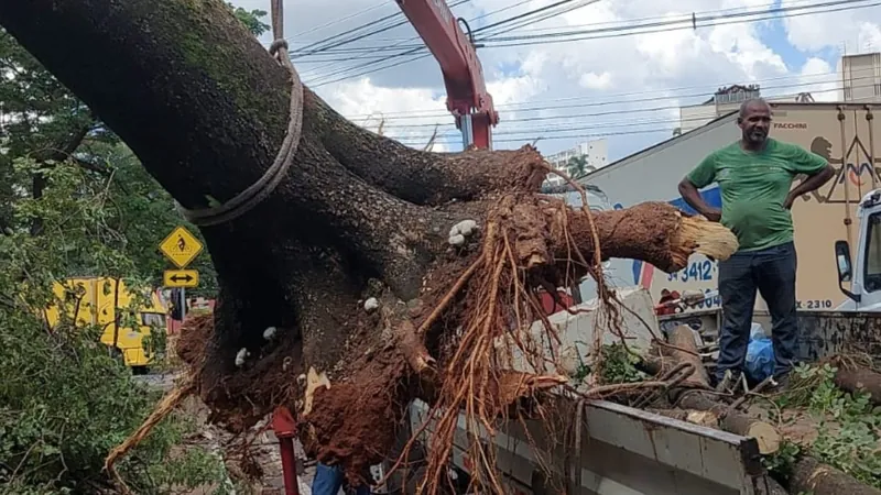 Material recolhido corresponde à lotação de 120 caminhões