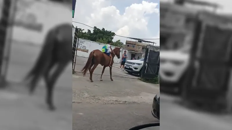 Menino de 11 anos viraliza nas redes sociais indo para a escola de cavalo