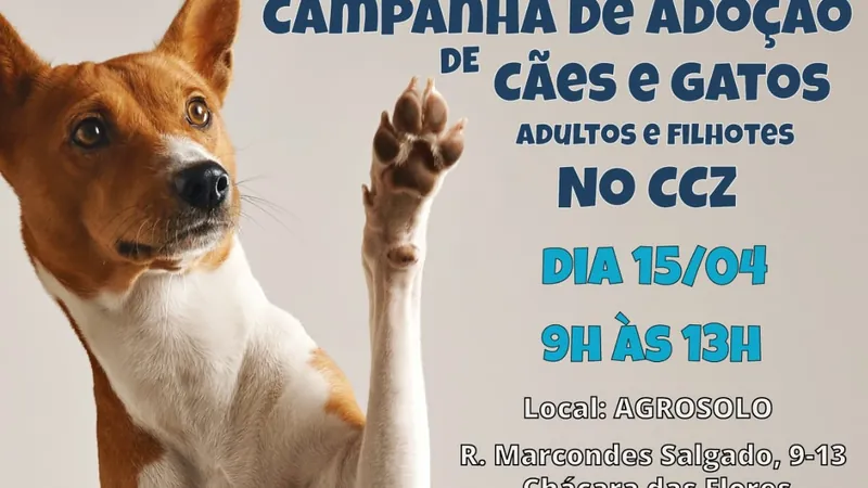 A campanha será realizada das 9h às 13h