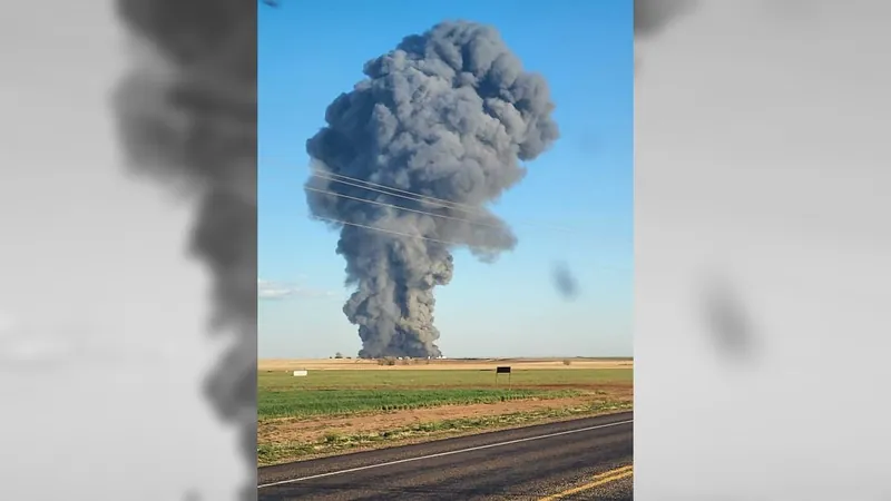 Explosão em fazenda leiteira no Texas mata 18 mil vacas