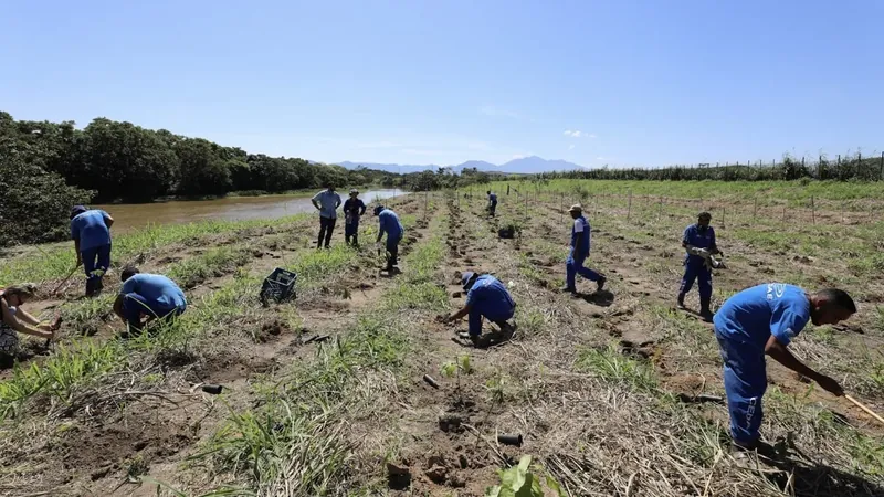 Gols do Cariocão são transformados em mudas plantadas às margens do Rio Guandu