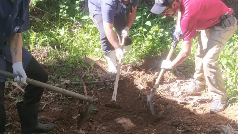 Homem confessa assassinato durante sessão de terapia em Ubatuba