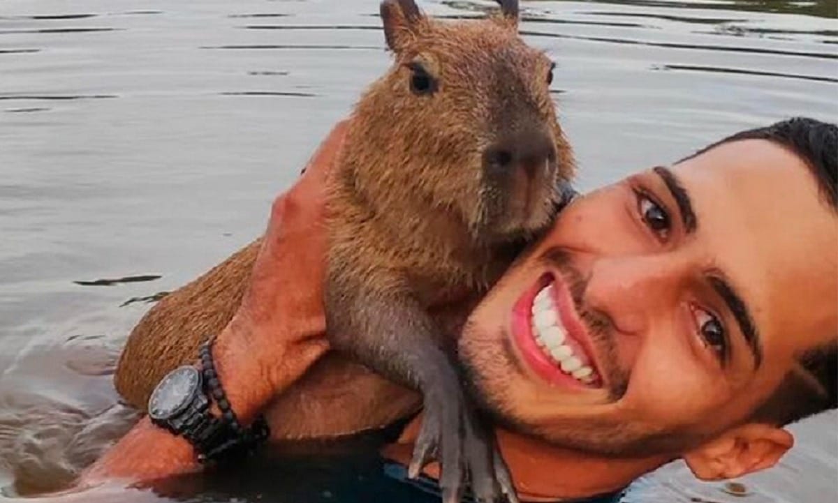 Não matem as capivaras. Adicionando ao debate em relação a…