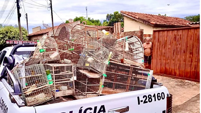 As gaiolas encontraram na casa foram destruídas