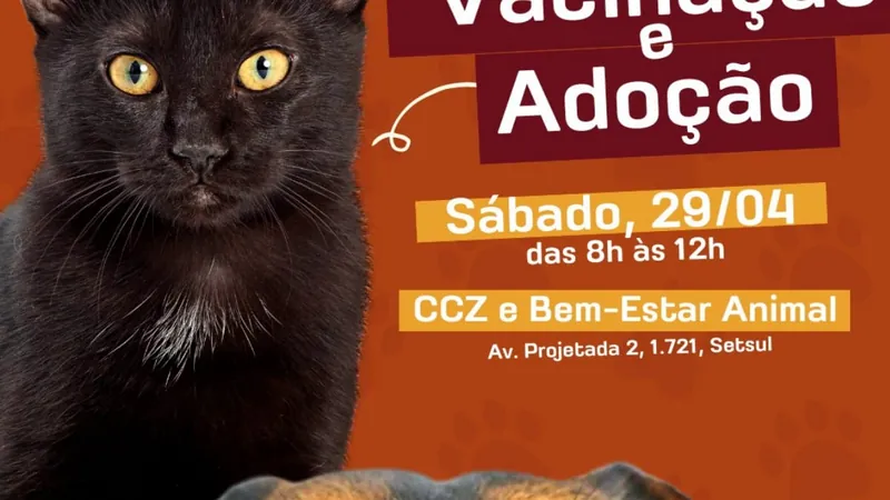 Trabalho busca imunizar pets contra raiva 