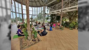 Aula gratuita de yoga é no Jardim Botânico de Sorocaba neste sábado 