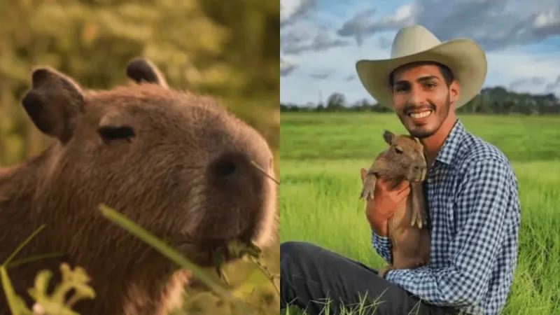 Capivara filó é devolvida a influencer do Amazonas