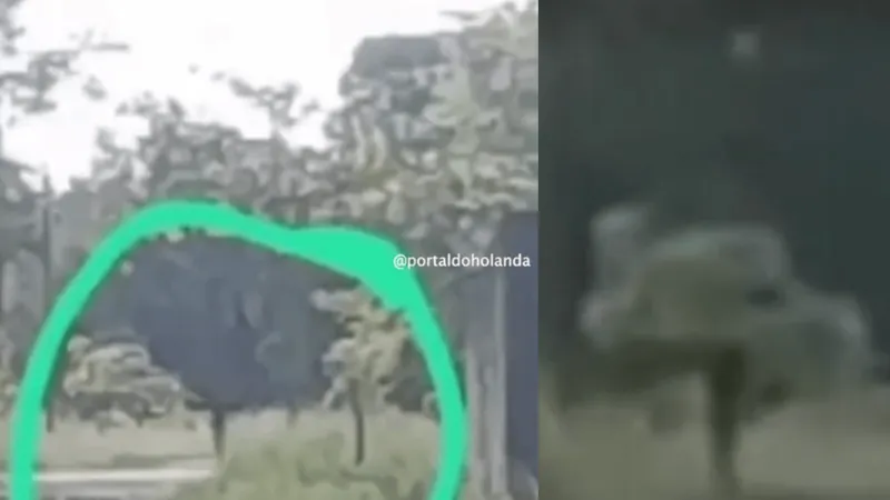 Vídeo mostra suposto fantasma em cemitério do Pará