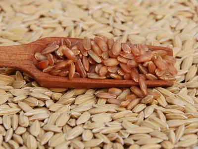 Três tipos de arroz têm tarifas zeradas para importação; veja quais
