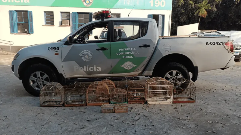 Polícia Ambiental apreende aves e autua homem em R$4,5 mil em São José