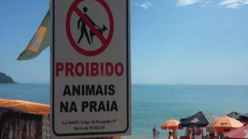 São Sebastião aumenta valor da multa para quem leva animais à praia