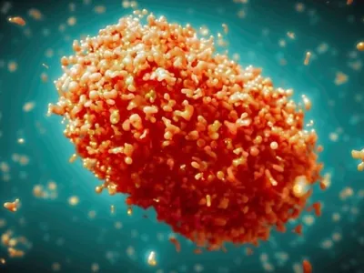 Surto de mpox na África preocupa a OMS