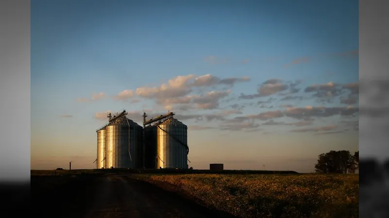 Produção global de soja deve chegar a 370,42 milhões de toneladas, aponta USDA