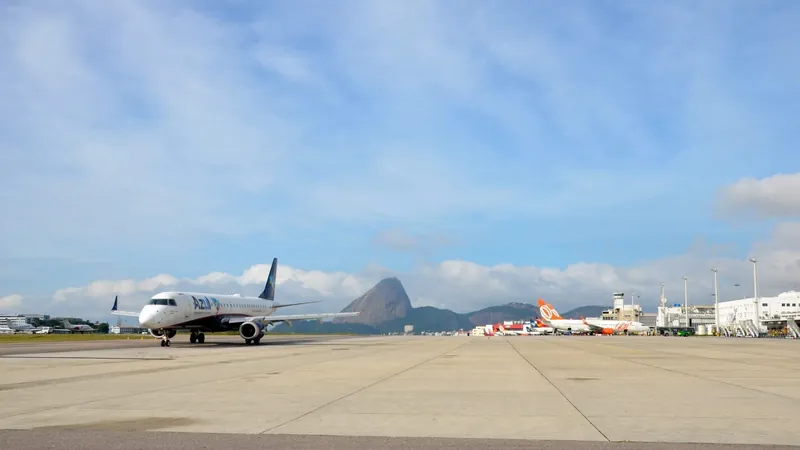 Aparecimento de capivara suspende operações no Santos Dumont