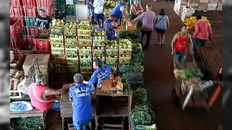 Boletim divulgado pela CONAB aponta que as frutas estão mais baratas neste mês