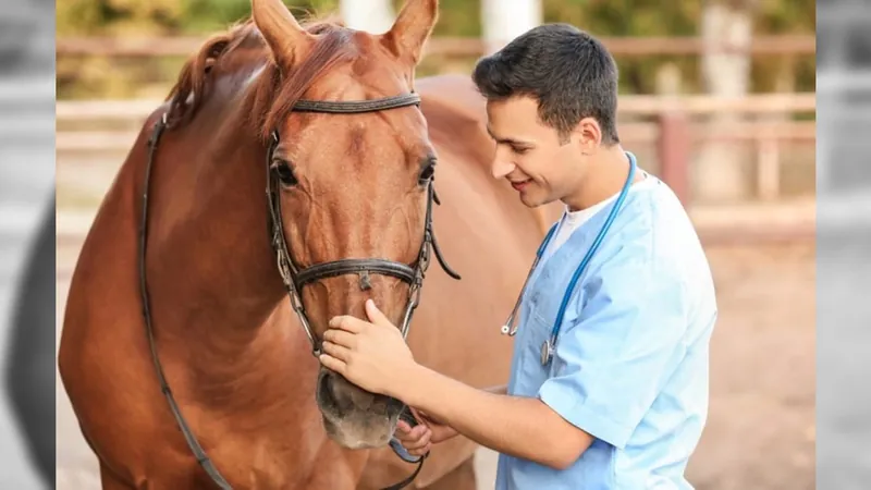 Maio será o Mês da Saúde Animal, determina portaria do Mapa