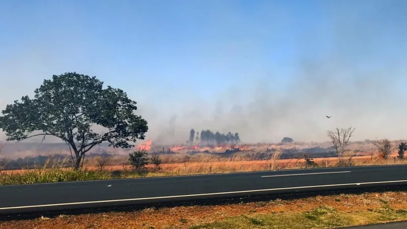 Provocar queimadas é crime ambiental 