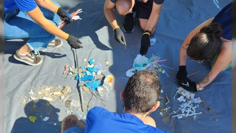 Mutirão de limpeza conta com cerca de 100 voluntários na Praia da Vermelha