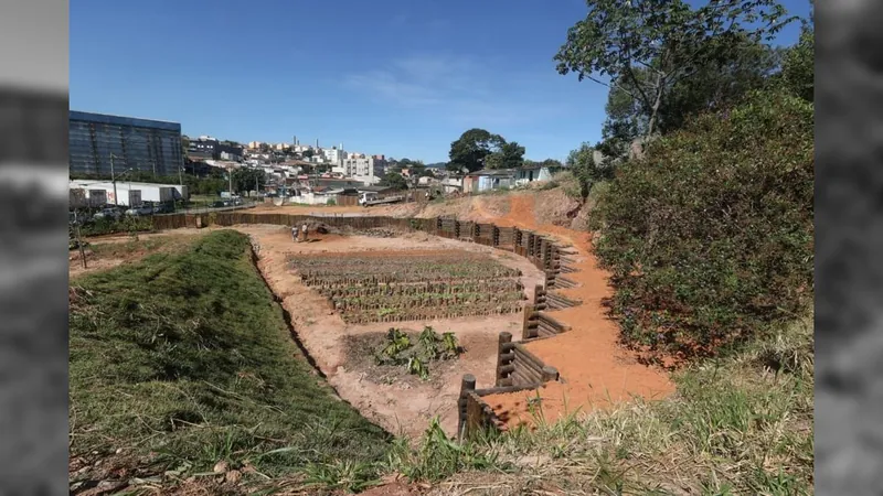 Jardim de Chuva, em Jundiaí, é exemplo de manejo das águas da chuva