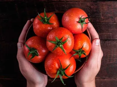 Mercado de tomates deve movimentar US$ 261 bilhões até 2029