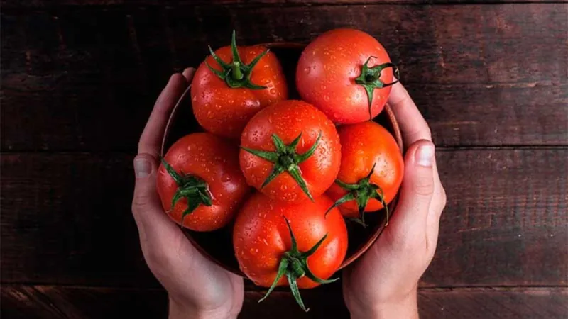 Tomate é um fruto e o segmento movimenta bilhões de dólares