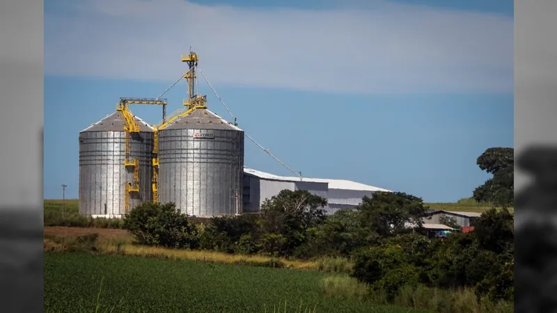 Safra de grãos deve incentivar disputa por armazéns, estradas e portos