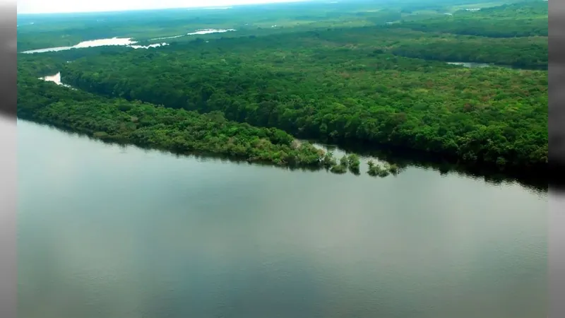 A Mata Atlântica continua sendo o bioma com mais espécies ameaçadas de extinção