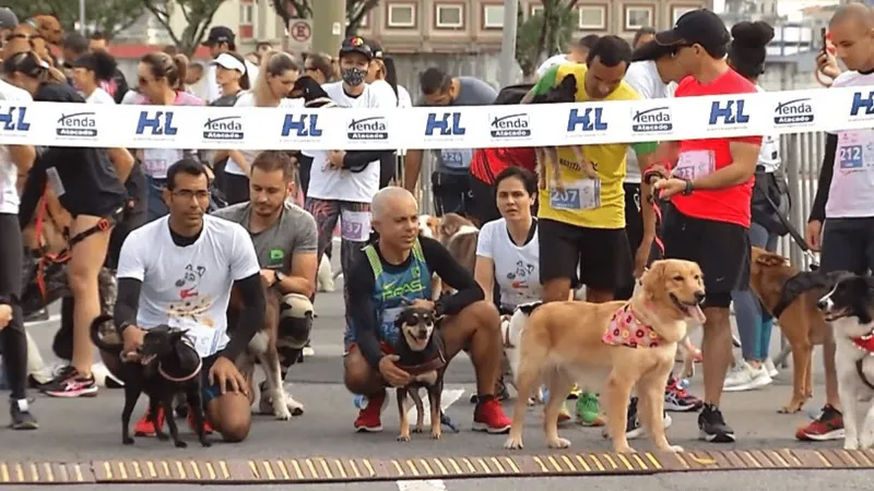 Dog Fashion Day acontece neste domingo (28) em São José dos Campos