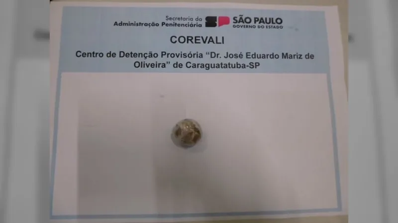 Mulher é Flagrada Com Maconha No Cdp De Caraguatatuba 8600