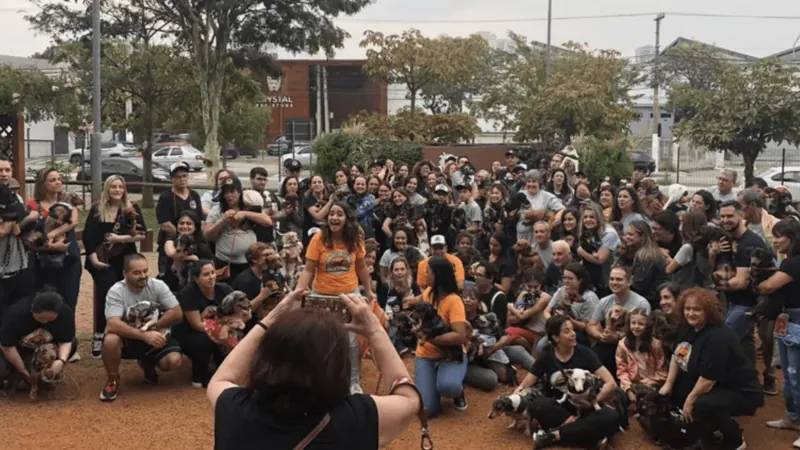 Shopping de São Paulo promove encontro de 101 cachorros-salsicha