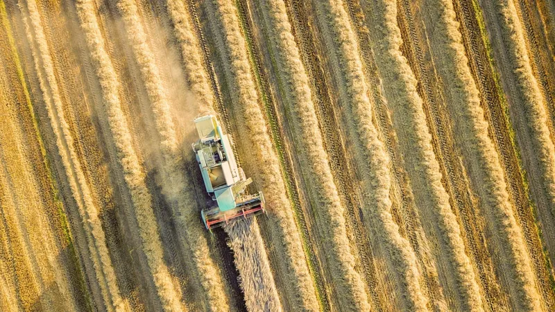 Impulsionado pelo agronegócio, PIB cresce 1,9% no 1° trimestre de 2023