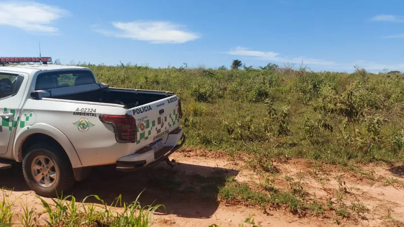 O dono da área recebeu duas autuações pelos crimes