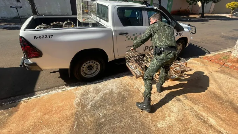 Os pássaros estavam dentro de uma casa