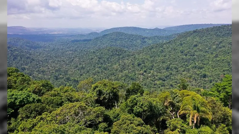 Fundo Amazônia deve receber 20 milhões de euros da União Europeia