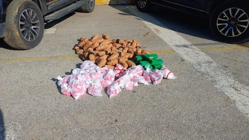 PF apreende 276 kg de cocaína escondidos em carga de aves congeladas