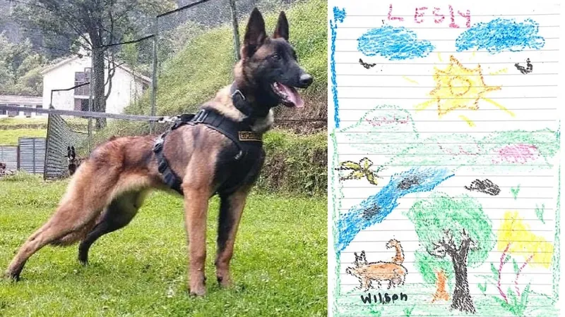 Crianças resgatadas na Colômbia desenham cachorro Wilson