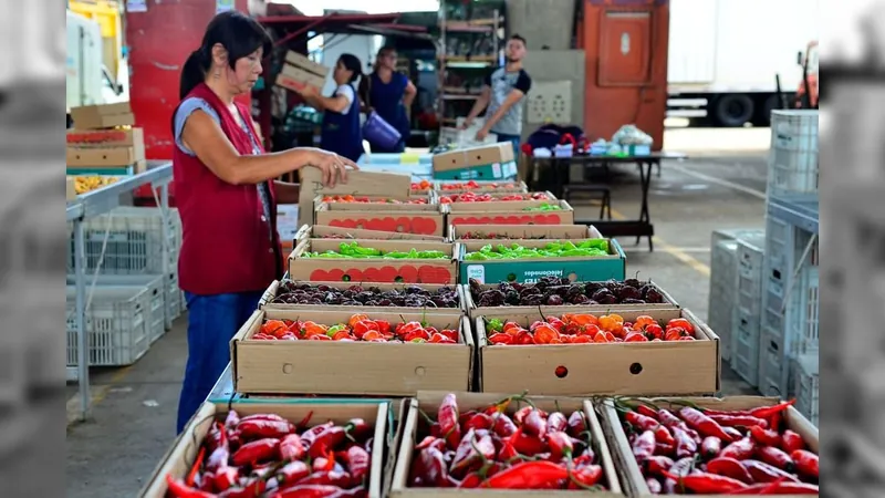 Alimentos ajudam e vendas no comércio avançam 0,1% em abril