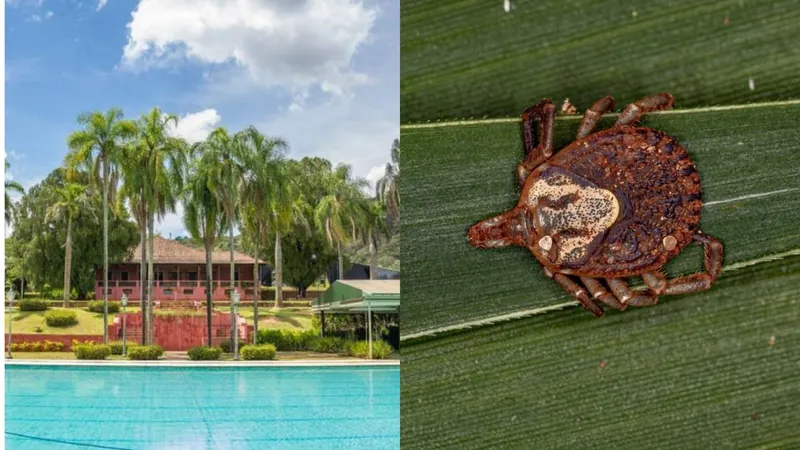 SP investiga 4ª morte por febre maculosa e interdita fazenda em Campinas