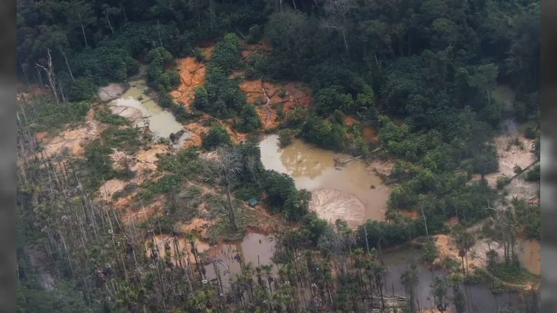 Não há garimpo ilegal na Terra Indígena Yanomami desde maio, anuncia PF