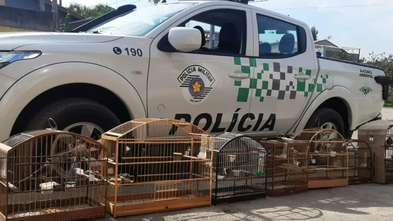 Polícia resgata 8 aves mantidas em cativeiro em comércio de Jacareí