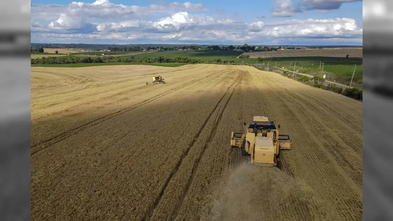 PIB do Paraná cresce 9,16% no 1º trimestre de 2023 puxado pela agropecuária