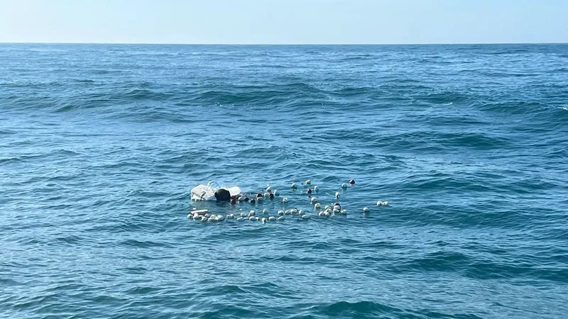 Comunidade pesqueira de Ubatuba ajuda nas buscas pelos pescadores desaparecidos