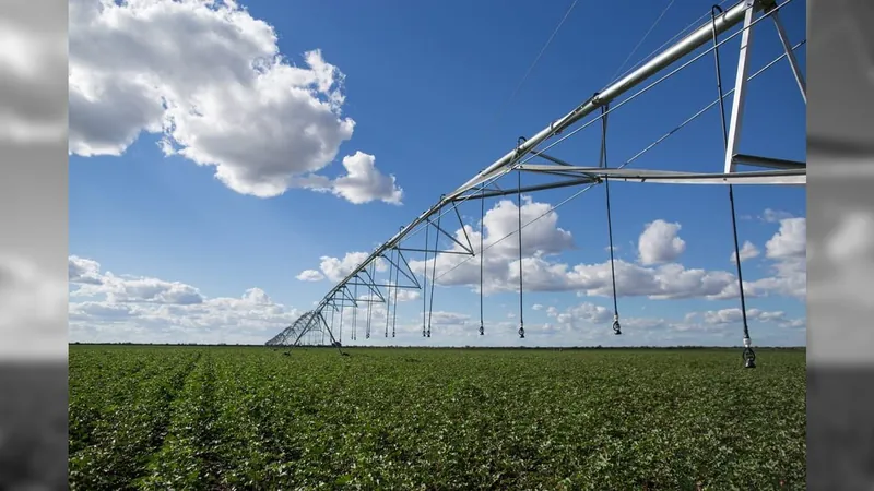 Seca prolongada ameaça produção agrícola e pressiona custos de produção