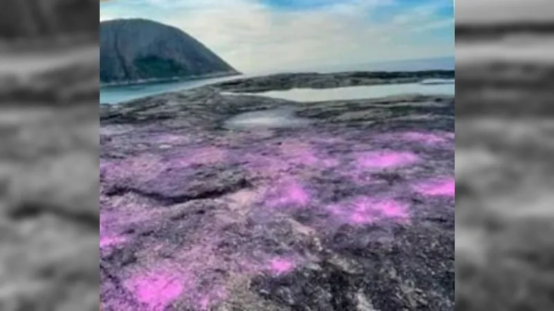 Corante usado em chá revelação na Praia de Itacoatiara não tinha uso permitido