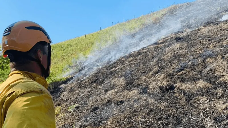 Incêndio destrói área de 8 mil m² de mata em Ilhabela