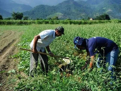 Senado autoriza aporte de R$ 500 milhões para a agricultura familiar