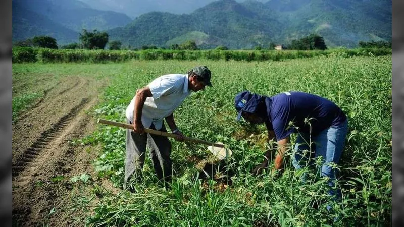 Governo federal lança Plano Safra para agricultura familiar na Amazônia