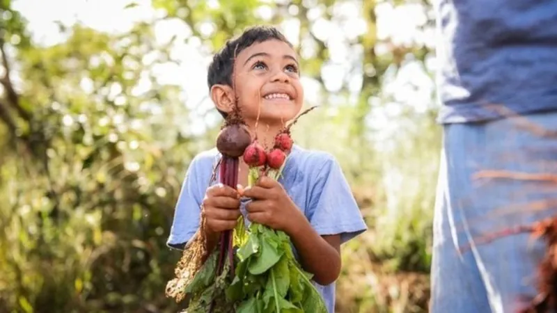 Plano Safra da Agricultura Familiar terá R$ 77,7 bilhões em crédito