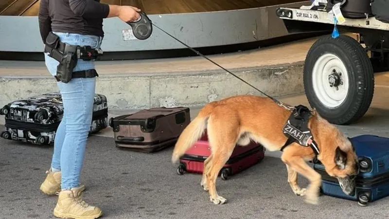 PF prende estrangeira por tráfico de drogas no aeroporto de Florianópolis